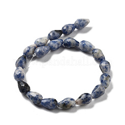 Perles de jaspe tache bleue naturelle&nbsp;G-P520-B21-01