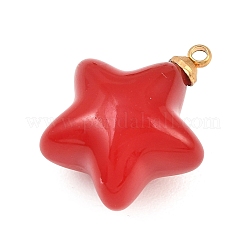 Pendentifs en résine en acier inoxydable 304&nbsp;STAS-K322-10D-02