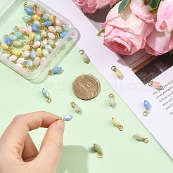 60pcs 6 Farben Glasanhänger&nbsp;PALLOY-YW00171