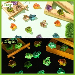 Ornements de scène de micro-paysage en résine lumineuse en forme de grenouille&nbsp;DIY-YWC0009-03A