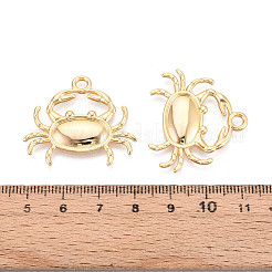 Латунные подвески&nbsp;KK-N263-123G