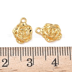 Латунные подвески&nbsp;KK-D024-14G