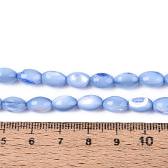 Нити бусин из натуральной ракушки трохус&nbsp;X-SHEL-K006-19-01A