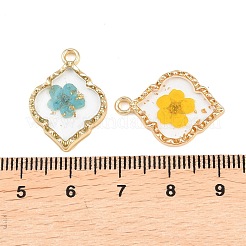 Подвески из эпоксидной смолы&nbsp;FIND-Z114-01G-01