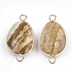 Jasper immagine naturale collega connettori&nbsp;X-G-S344-02I