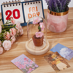 1 набор стеклянный Стеклянный Колпак-террариум с 1 шт. ручной работы крючком искусственные сливовые бутоны в горшках DJEW-WR0001-01C