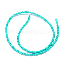 Fili di perle rotonde di magnesite naturale&nbsp;TURQ-E022-38B-3mm