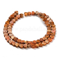 Синтетический регалит / имперская яшма / морские отложения G-F765-D01-01