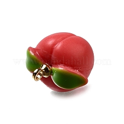 Латунные подвески из акрила&nbsp;OACR-R006-01G-02