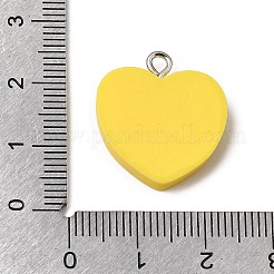 Undurchsichtige Harzanhänger&nbsp;RESI-C079-04B