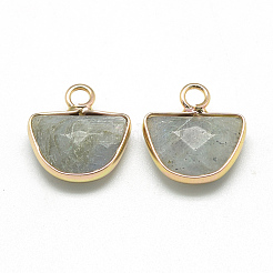 Полукруглые подвески из натурального лабрадорита&nbsp;G-Q965-06