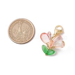 Стеклянные подвески украшения&nbsp;HJEW-MZ00212-04