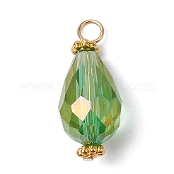 15шт 15 цветные гальванические стеклянные подвески&nbsp;PALLOY-JF02257