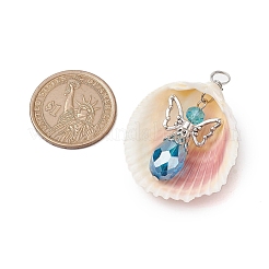 6шт 6 цвета подвески из натуральных ракушек PALLOY-JF02644