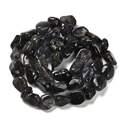 Природные иолит нитей бисера G-P497-01E-35