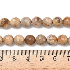 Природные окаменелое дерево бисер пряди G-L642-F09-8mm