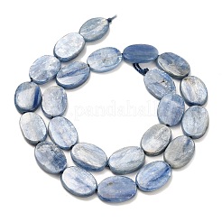 Натуральный кианитовые бисер пряди&nbsp;G-H335-D01-13x18mm