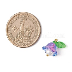 Стеклянные подвески PALLOY-MZ00837-02