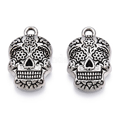 Сплавочные подвески тибетского стиля PALLOY-T087-01AS