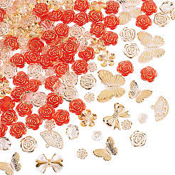 Прозрачные акриловые бусины OACR-PH0004-32B