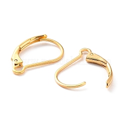Boucles d'oreilles à levier en acier inoxydable 304&nbsp;LS-STAS-K233-04G