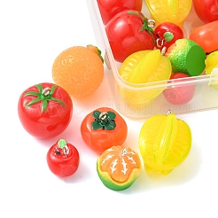 24шт 6 стиля непрозрачные подвески из смолы&nbsp;RESI-FS0001-48