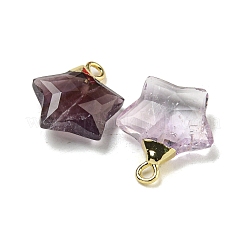 Pendenti d'ametista naturale&nbsp;G-P540-01G-10