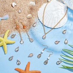 16 шт. подвески из натуральной ракушки пауа&nbsp;SHEL-BC0001-030