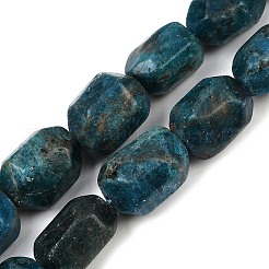 Природного апатита нитей бисера G-F796-C04-01