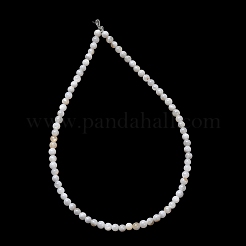 Naturali di acqua dolce perline shell fili&nbsp;SH-CBA2978-07D-02