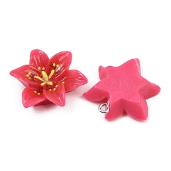 Подвески из непрозрачной смолы&nbsp;CRES-D328-04F