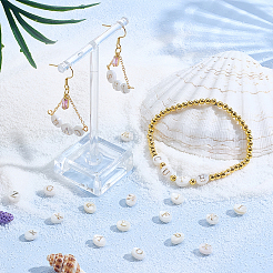 26 шт. 26 вида натуральных ракушечных бусин овальной формы FIND-PH0027-41