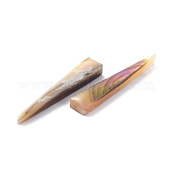 Conchiglia di abalone naturale/perla di conchiglia di paua&nbsp;BSHE-Z002-08