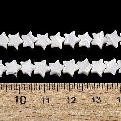 Natürliche Trochidschale / Trochusschalenperlenstränge&nbsp;SH-CBA2978-17A