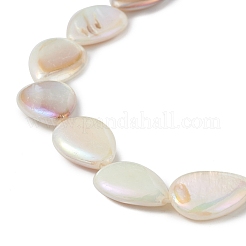 Abカラーメッキ天然淡水シェルビーズ連売り  ティアドロップ  17x12x4.5mm  穴：0.8mm  約21~22個/連  13.78~14.57インチ（35~37cm）&nbsp;BSHE-G033-02