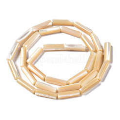 Нити бусин из натуральных трохоидных/трохус ракушек SSHEL-S266-020B-03