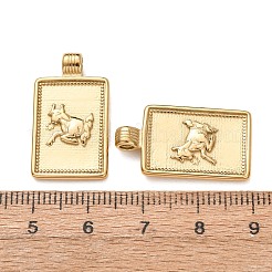 Pendentifs en acier inoxydable 304&nbsp;STAS-C184-11G-08