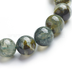 Natur prehnite Stretch-Armbänder&nbsp;BJEW-E373-10mm-11