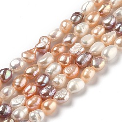 Fili di perle di perle d'acqua dolce coltivate naturali, due lati lucido, colore misto, 6~8x5.5~6.5mm, Foro: 0.6 mm, circa 42~45pcs/filo, 13.39~13.58 pollice (34~34.5 cm)