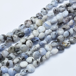 Perles de jaspe tache bleue naturelle, plat rond, 8~8.5x4.5~5mm, Trou: 1mm, Environ 39 pcs/chapelet, 15.5 pouce (39.5 cm)