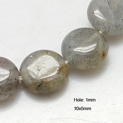 Natural Labradorite Beads Strands, Flat Round, 10x5mm, Hole: 1mm