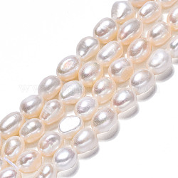 Fili di perle di perle d'acqua dolce coltivate naturali, due lati lucido, bianco crema, 8~9x7~8x5~7mm, Foro: 0.7 mm, circa 38~39pcs/filo, 13.2~13.5 pollice