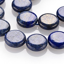 Natural Lapis Lazuli Beads Strands, Flat Round, Dyed, 16x6mm, Hole: 1mm, about 24pcs/strand, 15.1 inch