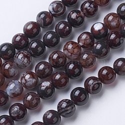 Chapelets de perles d'agate naturelle, teints et chauffée, Grade a, ronde, café, 6mm, Trou: 1mm, Environ 62 pcs/chapelet, 14.9 pouce (38 cm)
