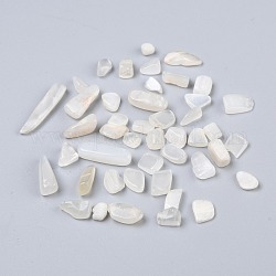 Natural White Moonstone Beads, No Hole/Undrilled, Chip, 7~18x4~6x2~5mm, about 1388pcs/500g
