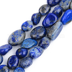 Chapelets de perles en lapis-lazuli naturel, pierre roulée, pépites, 5~13x5~10x3~8mm, Trou: 1mm, Environ 40~60 pcs/chapelet, 14.57 pouce ~ 15.74 pouces (37~40 cm)