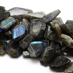 Natural Labradorite Nuggets Beads Strands, Faceted, 19~27x12~20x5~7mm, Hole: 1mm, about 28pcs/strand, 15.75 inch