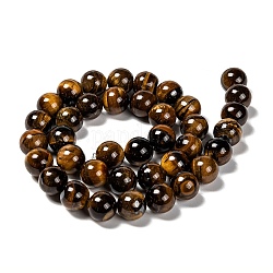 Natural Grade AB Tiger Eye Round Beads Strands, 10mm, Hole: 1mm, about 39pcs/strand, 15''(38.1cm)