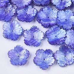 Tappi perline in plastica bicolore a 5 petalo, con polvere di scintillio, fiore, blu, 25.5x26x7mm, Foro: 1.2 mm