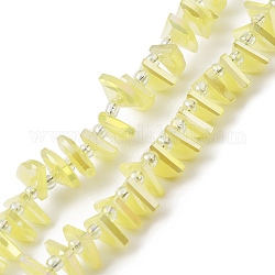 Chapelets de perles en verre électroplaqué, facette, fan, champagne jaune, 8x10x3mm, Trou: 1mm, Environ 100 pcs/chapelet, 19.29'' (49 cm)